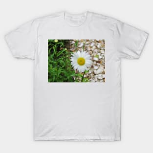 Daisy T-Shirt